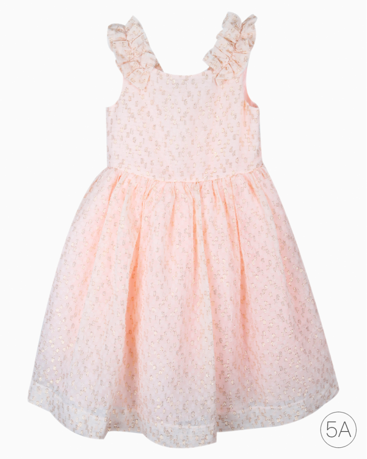 Vestido Infantil Janie and Jack Original Rose