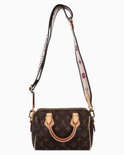 Bolsa Louis Vuitton Speedy 20 Damier Ébène